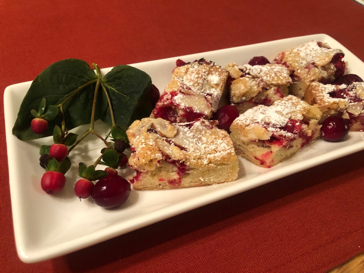 Orange Cranberry Bars